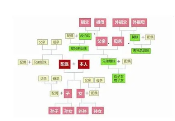 直系亲属包括哪些