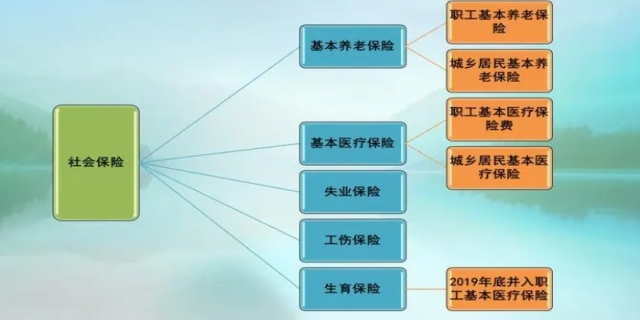 社会保险的内容包括哪几大险种
