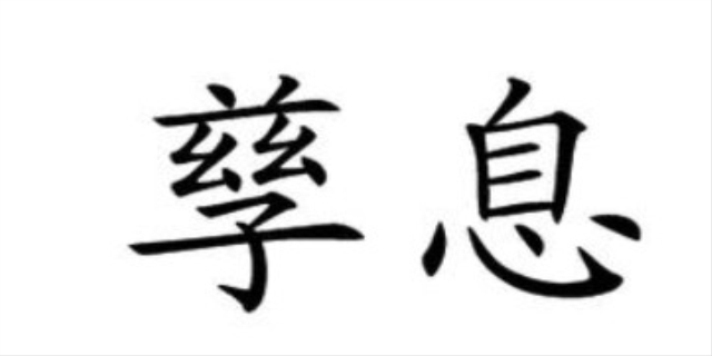 孳息指的是什么意思