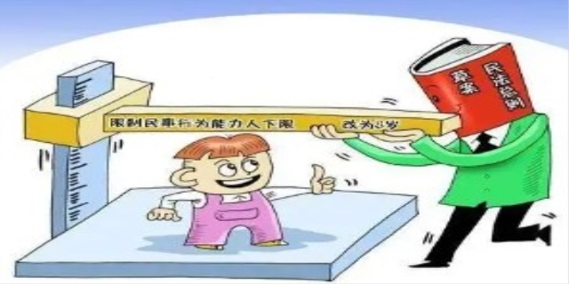 【限制民事行为能力人】是指什么
