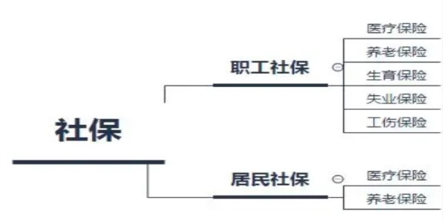 社保包括什么