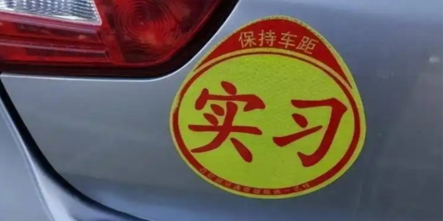 实习期上高速怎么处罚2024