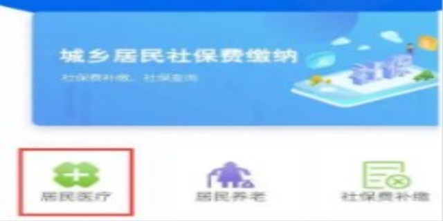 新农保和农村合作医疗怎么在网上缴费