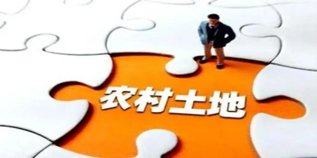 农村土地补贴每亩多少