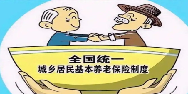 2024农村交纳社会养老保险的流程是怎么样的