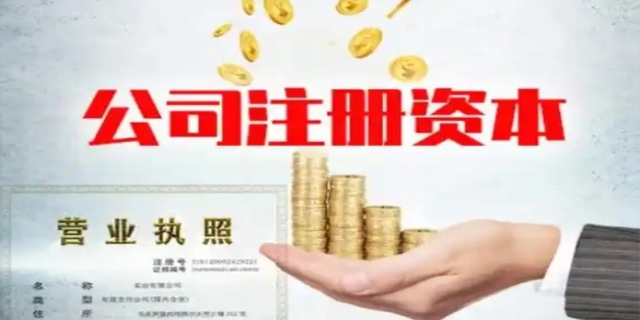 注册资本指的有什么
