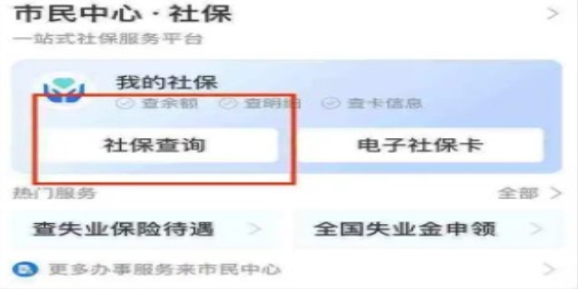 怎么查询个人社保