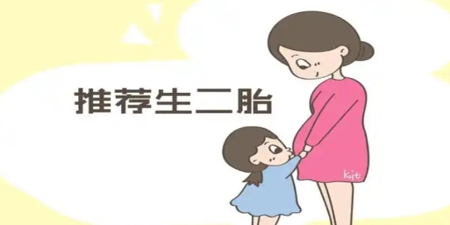 生二胎条件有哪些