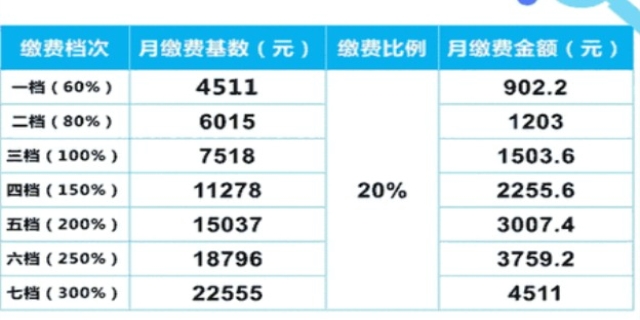 2024社保缴费查询方法是怎样的