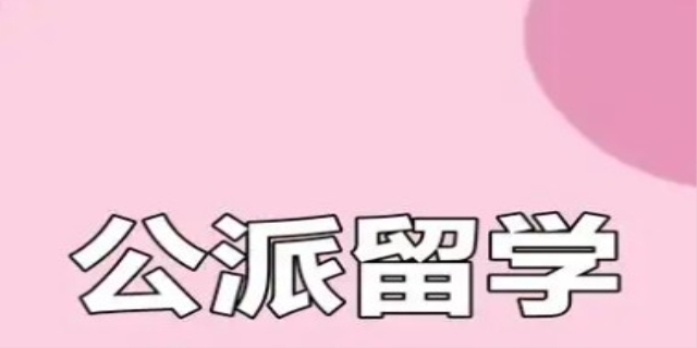 公派留学怎么办理