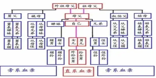血缘关系有哪些