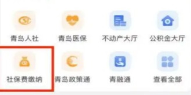 社保怎么缴费