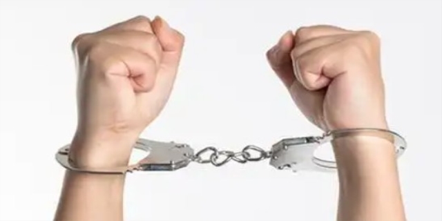 背叛国家罪怎么判刑