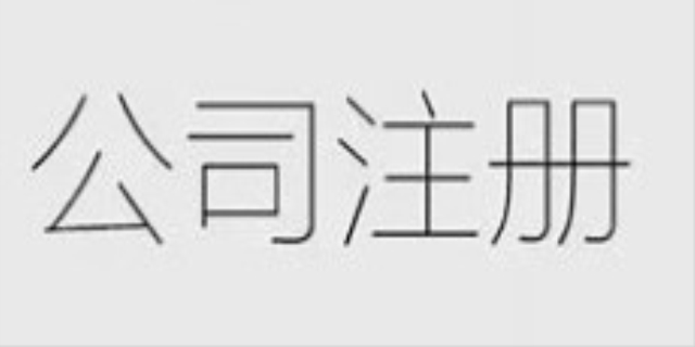 一人公司是法人吗