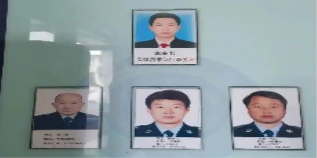 调解员的主要工作内容是什么