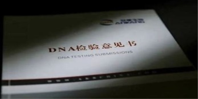亲子鉴定要多少钱