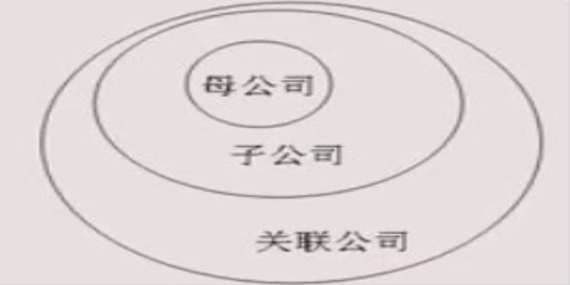 全资子公司和母公司的关系