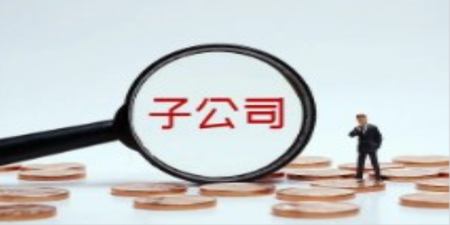 全资子公司是什么意思