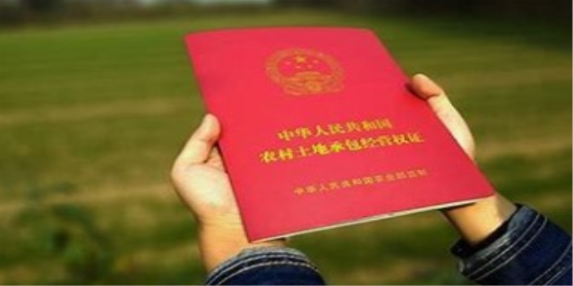 土地纠纷怎么处理