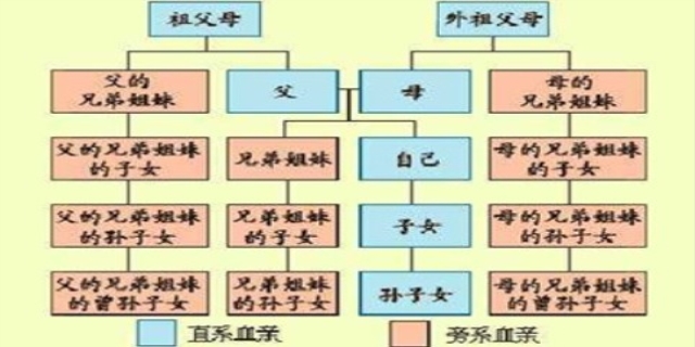 直系亲属包括哪些人