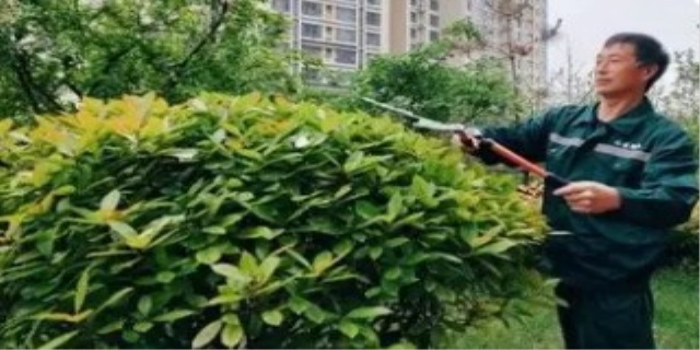 物业管理主要负责的工作是什么