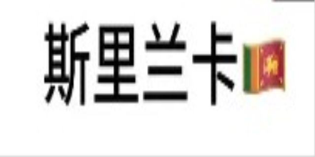 申请斯里兰卡电子签证需要什么