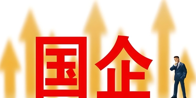 国有企业是什么
