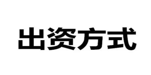 出资方式是什么意思